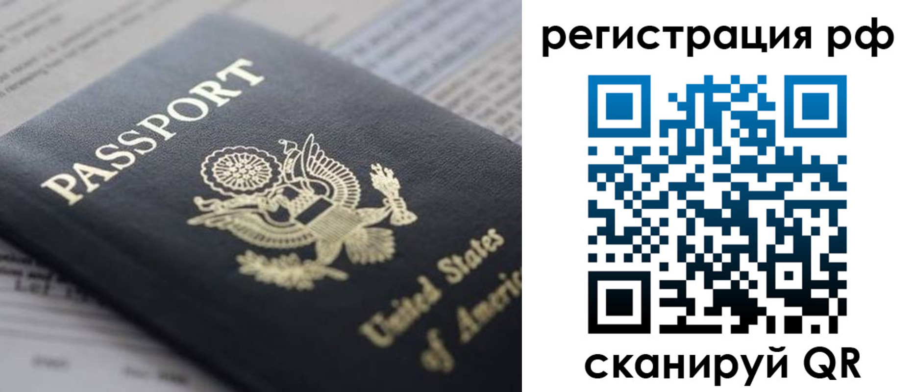 прописка поиск в Рошале